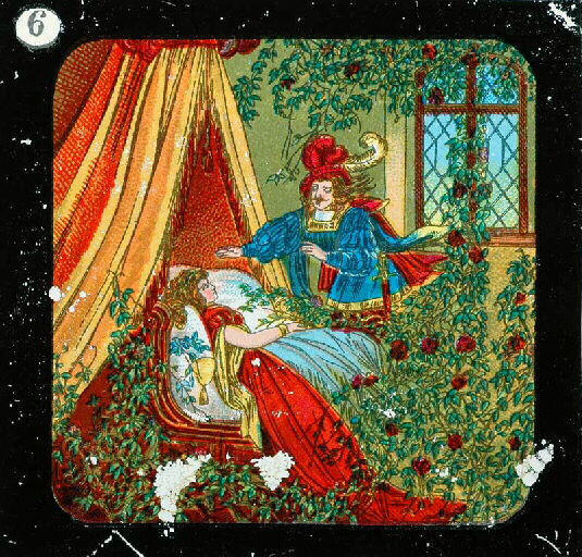 La Belle au bois dormant (Titre factice)_5