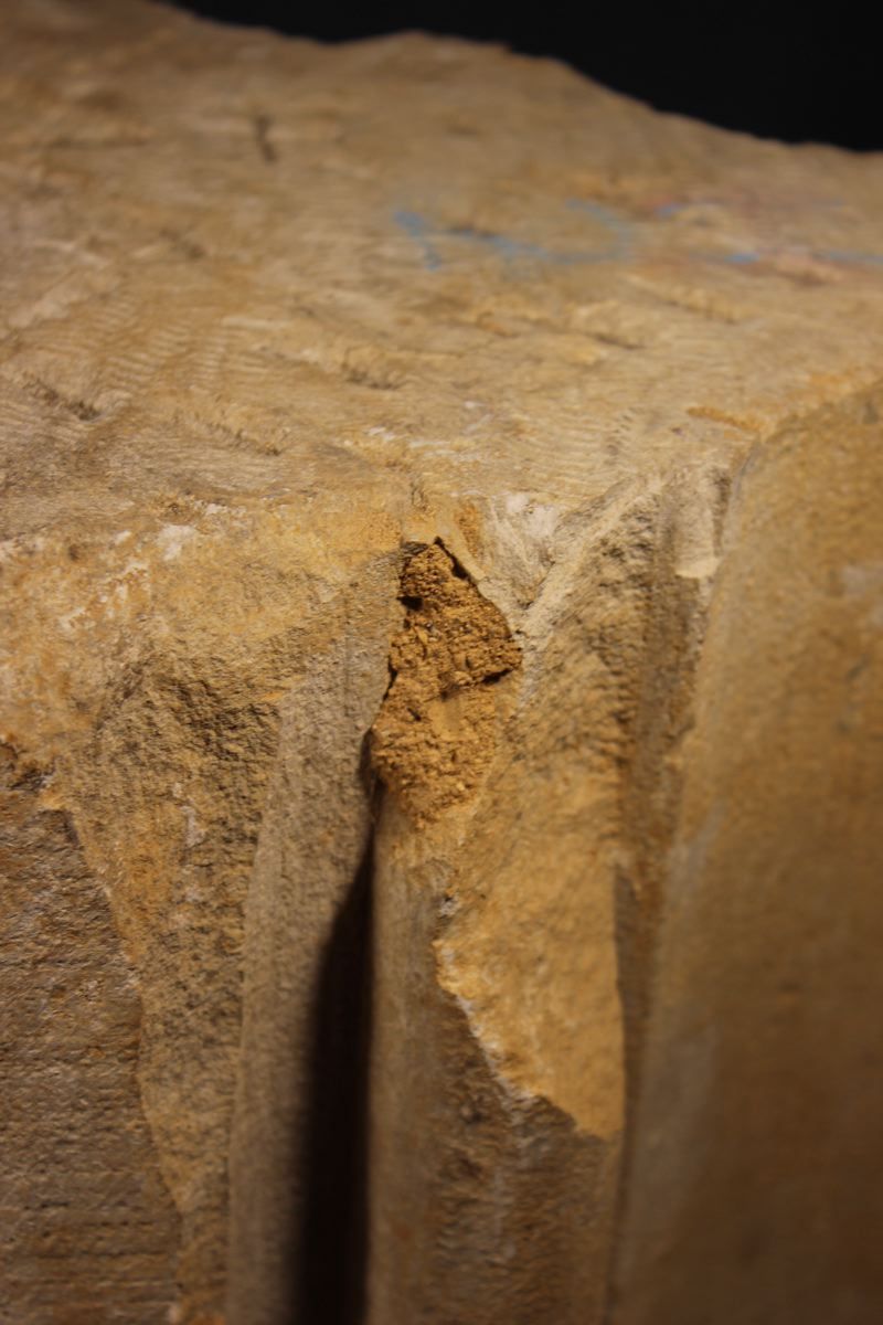 Nervure formant la voûte de la chapelle du château_5