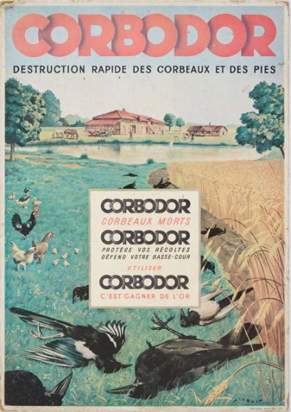 Corbodor destruction rapide des corbeaux et des pies_0