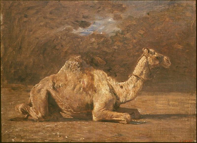 Dromadaire couché de profil, Léon Belly, 19e siècle