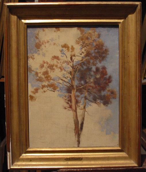 Etude de pin, Jean-Charles Cazin, 2e moitié 19e siècle