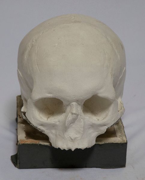 Moulage anatomique_0