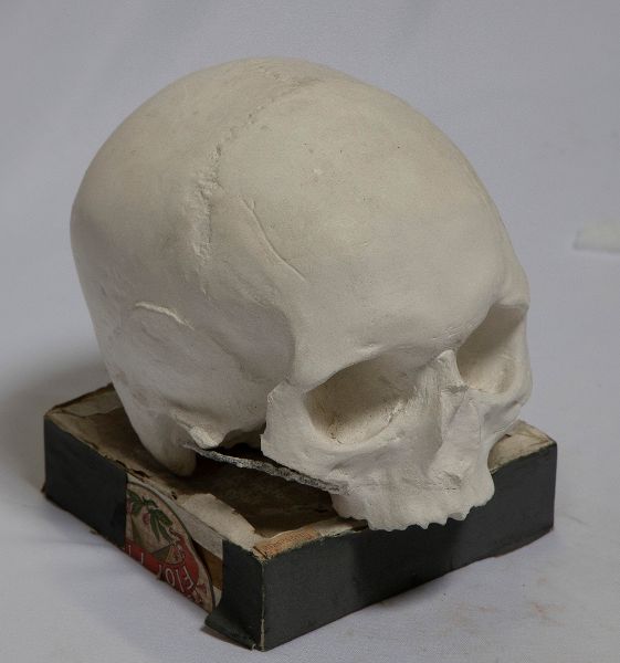 Moulage anatomique_1