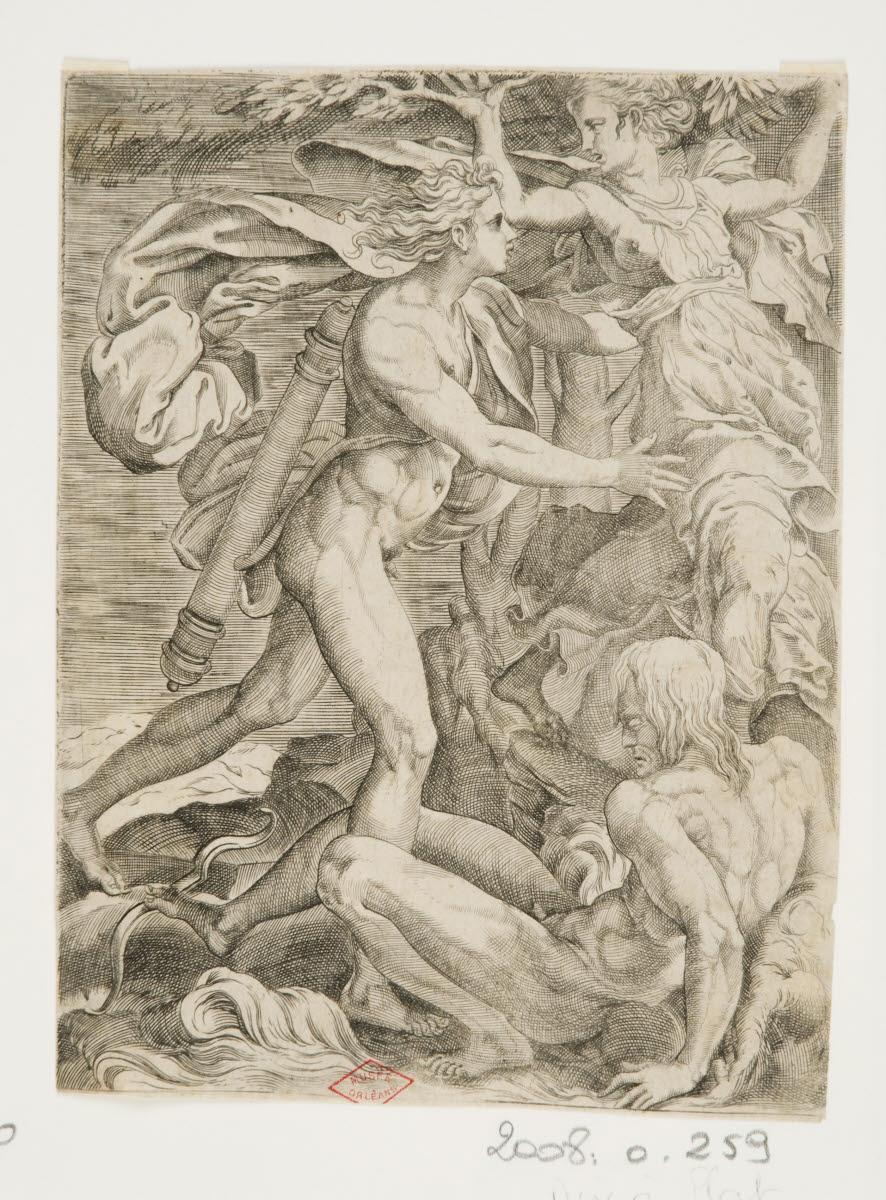 Apollon et Daphné, Perino del Vaga, 1500-1599
