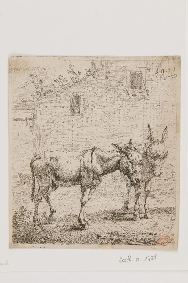Deux ânes, Karel Dujardin, 1650-1674
