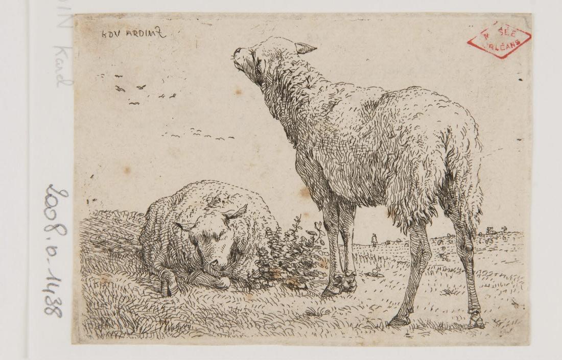 Deux moutons, Karel Dujardin, 1600-1699