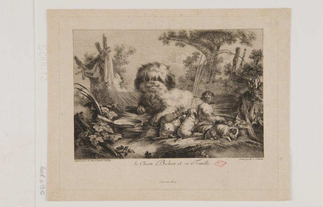 Le Chien Bichon et sa famille, Жан Батист Гюэ, 1700-1799