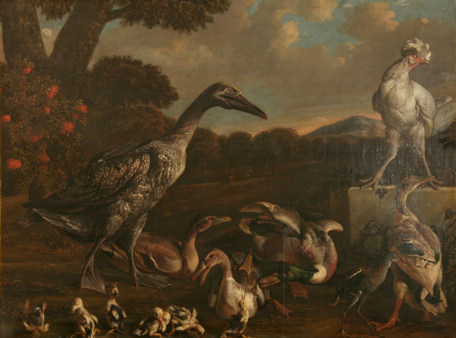 Oiseaux de basse-cour_0
