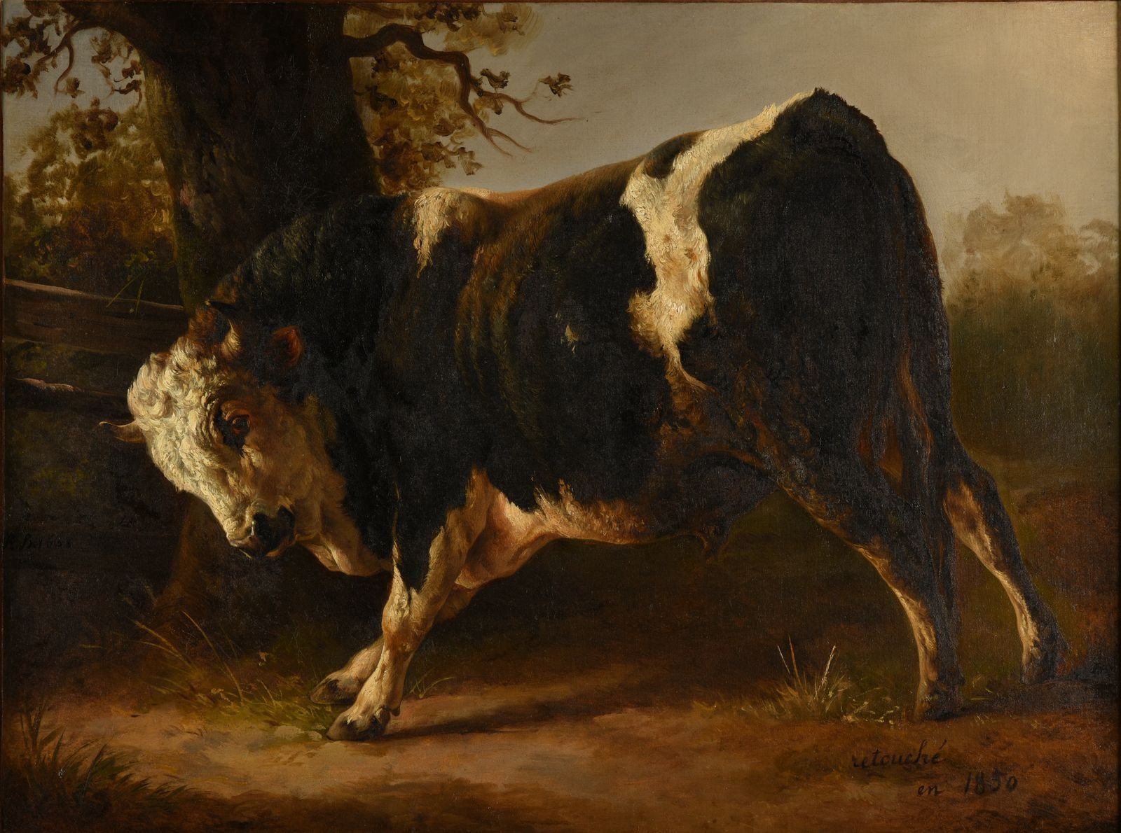 Taureau en courroux (titre inscrit à l'inventaire) ; Taureau en courroux. Robe blanche et noire (titre inventaire Bloche, 1878), Jacques-Raymond Brascassat, 1833 Date de création,1850