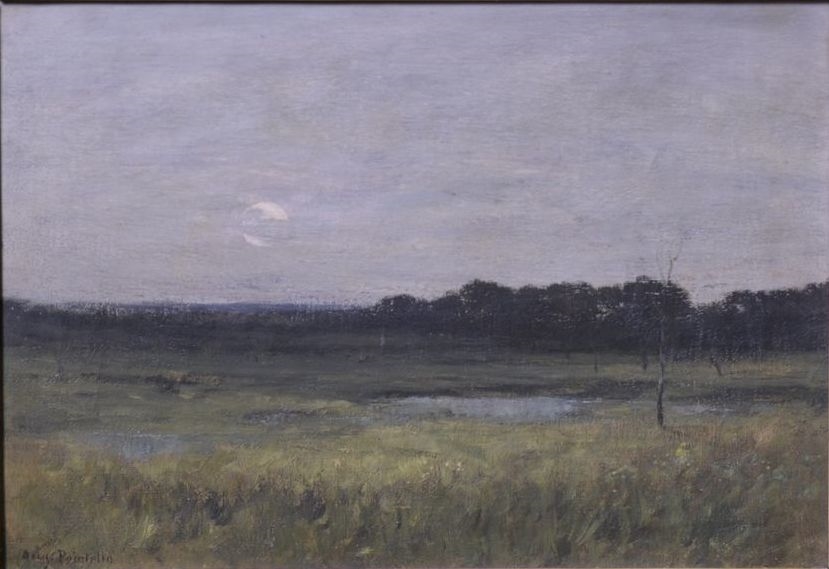 Effet de lune sur une lisière de forêt_0