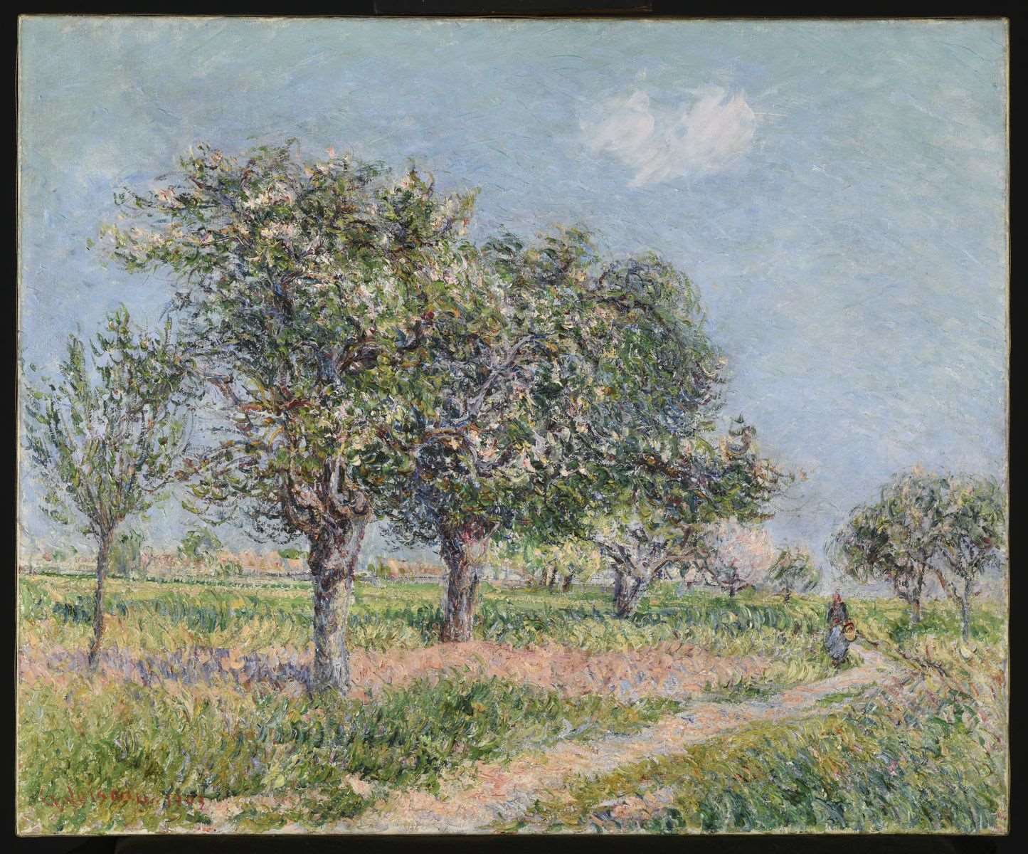 Pommiers en fleurs en Normandie_0