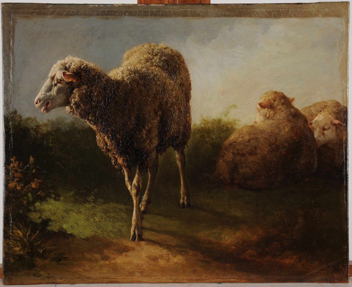Trois moutons, Jacques-Raymond Brascassat, 19e siècle