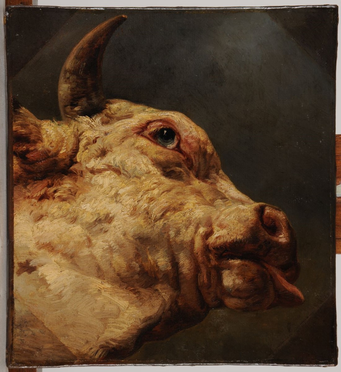 Tête de taureau, Jacques-Raymond Brascassat, 19e siècle