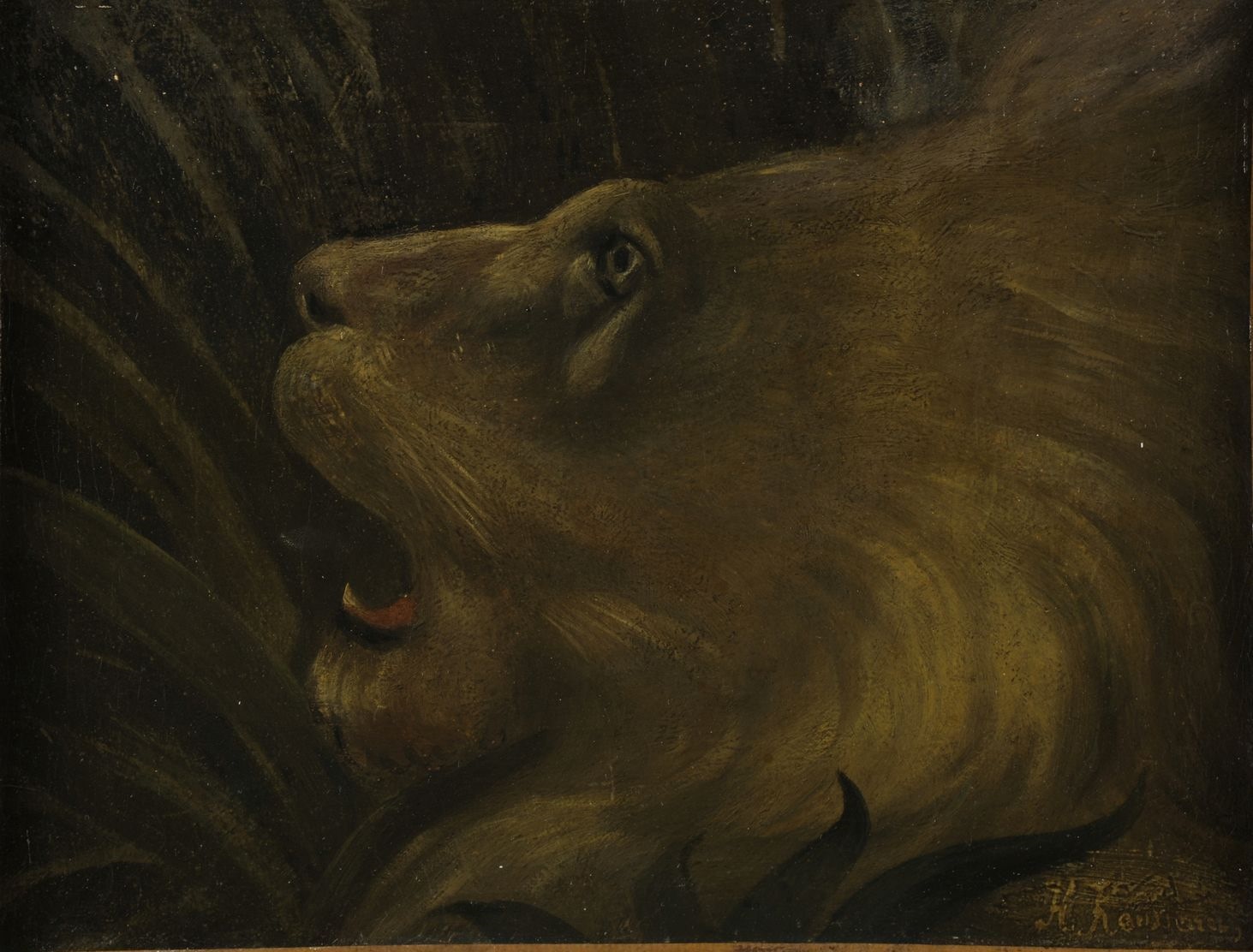 Tête de lion_0