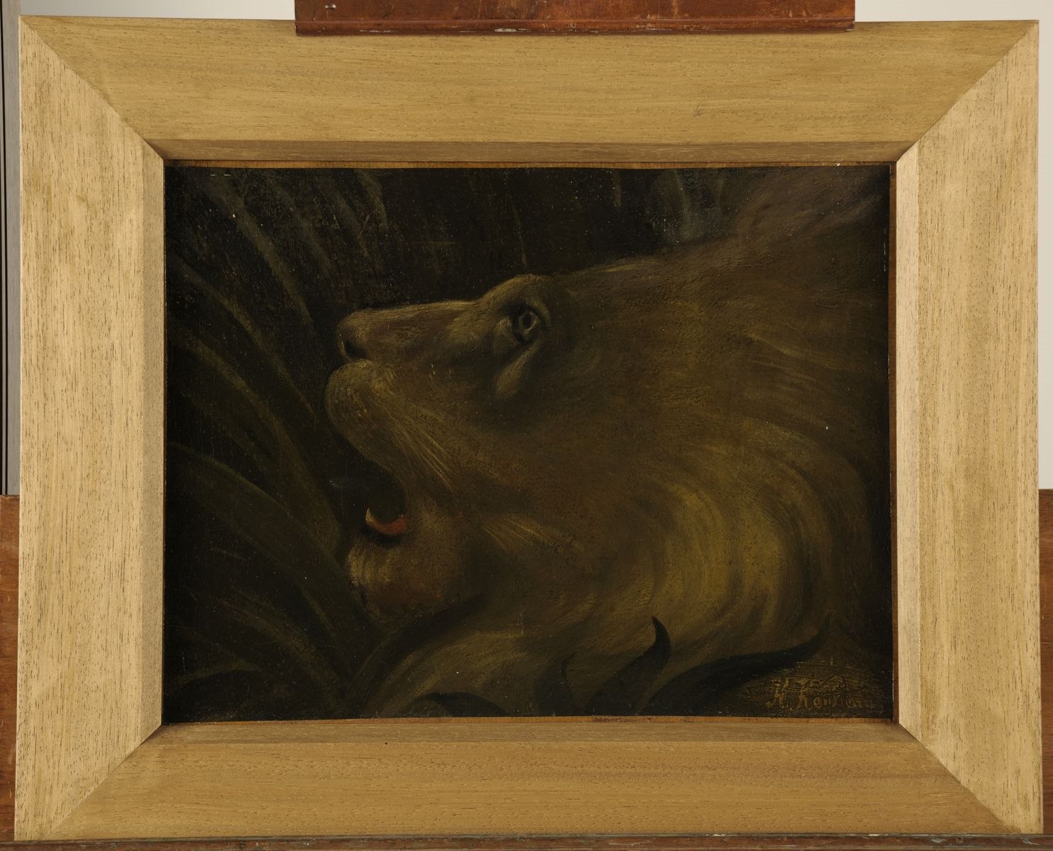 Tête de lion_1