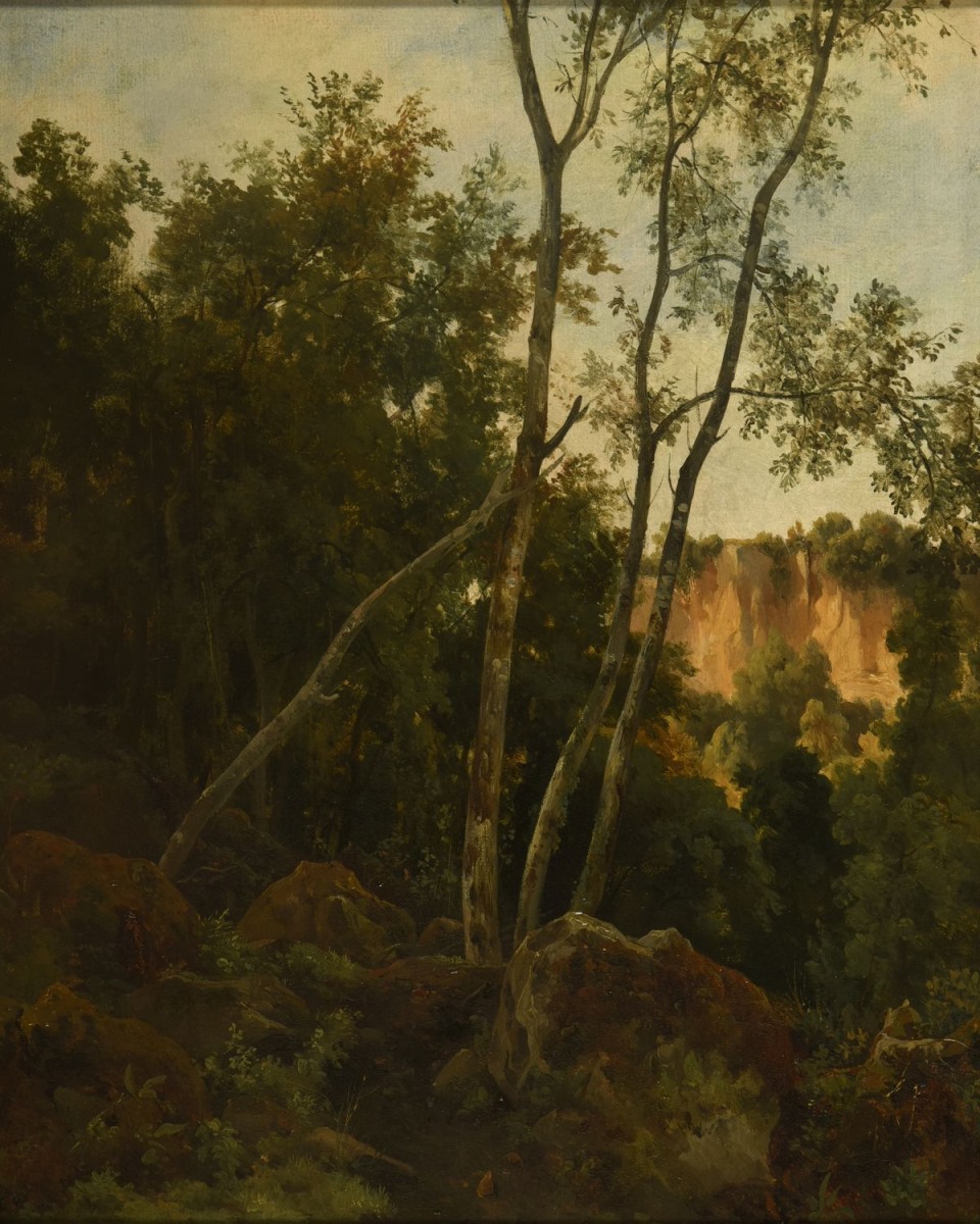 Forêt avec rochers, Jacques-Raymond Brascassat, 19e siècle