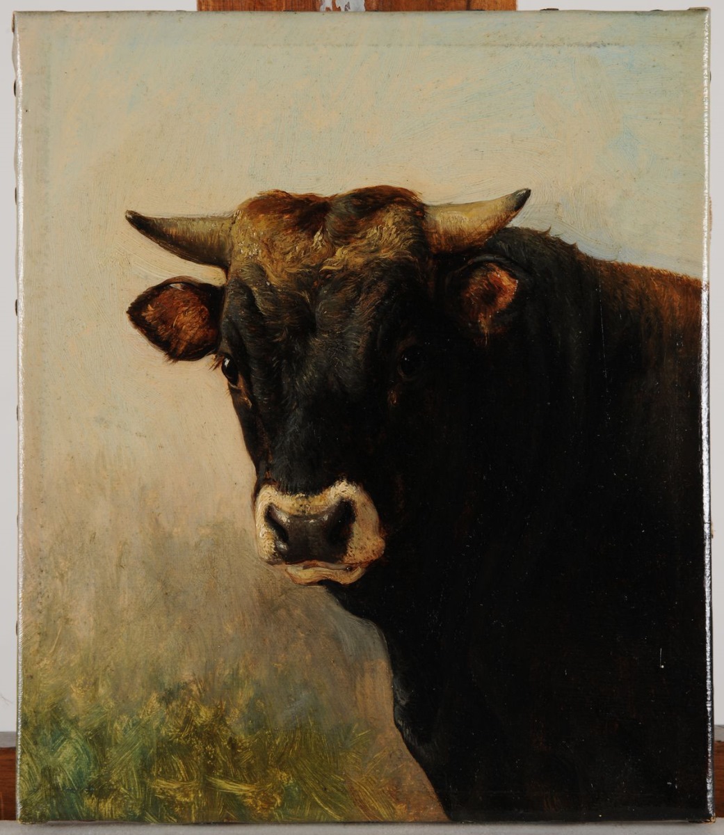 Tête de boeuf noir (titre attribué) ; Tête de taureau (autre titre attribué), Jacques-Raymond Brascassat, 19e siècle