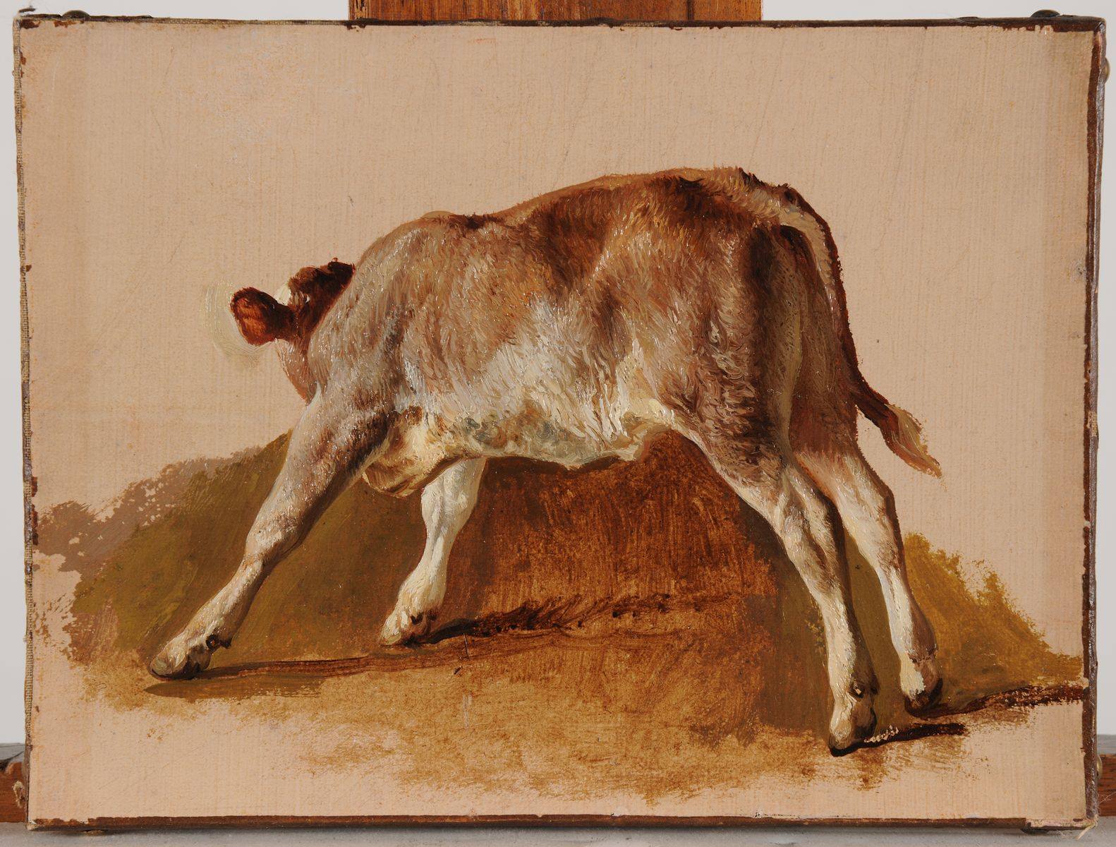 Jeune veau, Jacques-Raymond Brascassat, 19e siècle