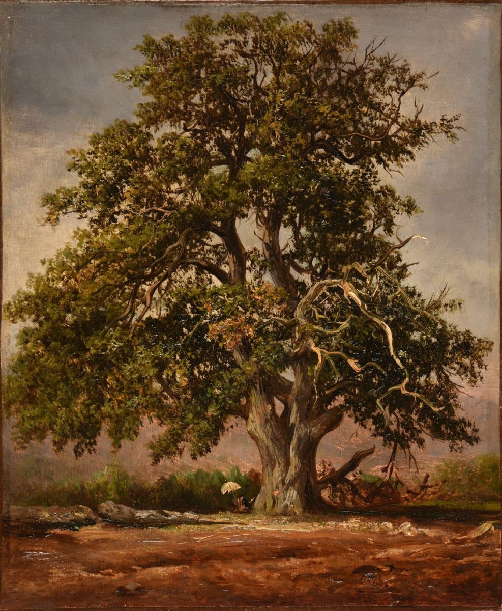 Le Vieux chêne (titre inscrit à l'inventaire) ; Un Chêne (titre inventaire Bloche, 1878), Jacques-Raymond Brascassat, 2e quart 19e siècle