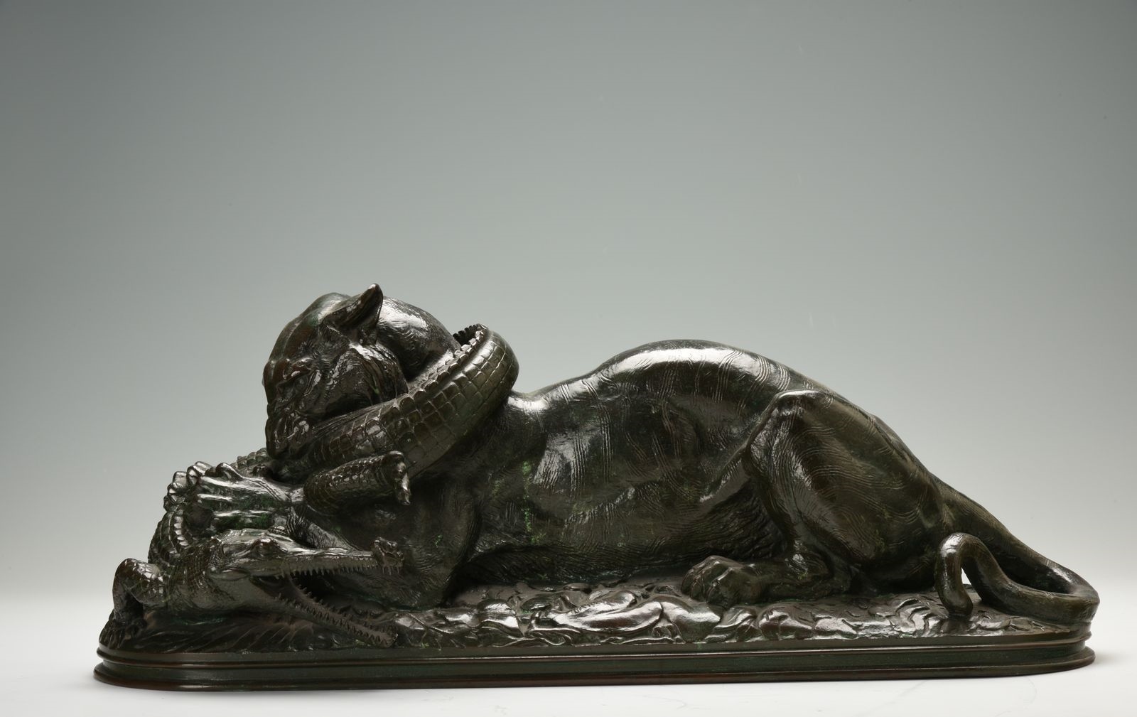 Tigre attaquant un crocodile_0