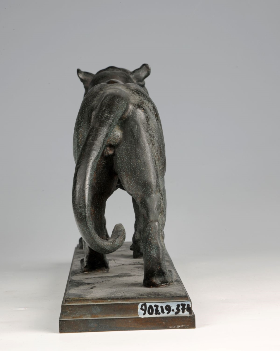 Tigre (titre inscrit à l'inventaire) ; Tigre marchant_3