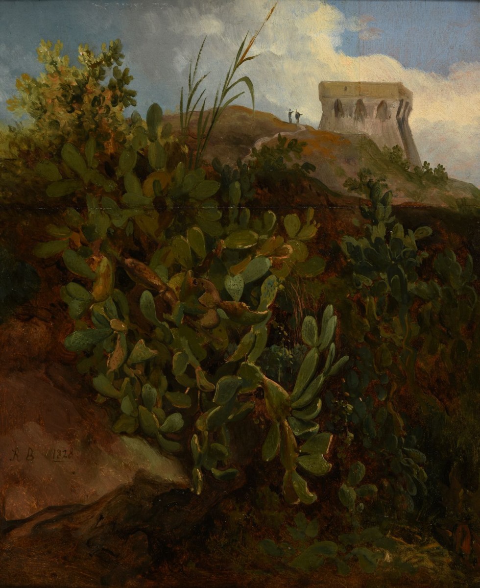 Tour et cactus (titre inscrit à l'inventaire) ; Colline tapissée de plantes à grandes feuilles. Vue d'Italie (titre inventaire Bloche, 1878) ; Cactus ou figuier d’Inde (île d’Ischia) (titre publié (Marionneau, 1872)), Jacques-Raymond Brascassat, 1828 vers