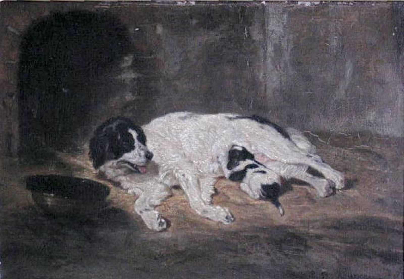Chienne de Terre-Neuve allaitant son petit ; La Bonne Mère, Philippe Rousseau, 1857