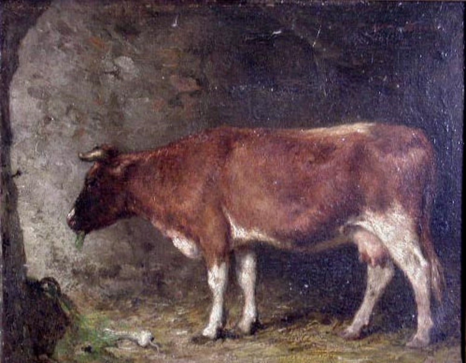 Une vache dans une étable, Willem Maris, 19e siècle, 1er quart 20e siècle
