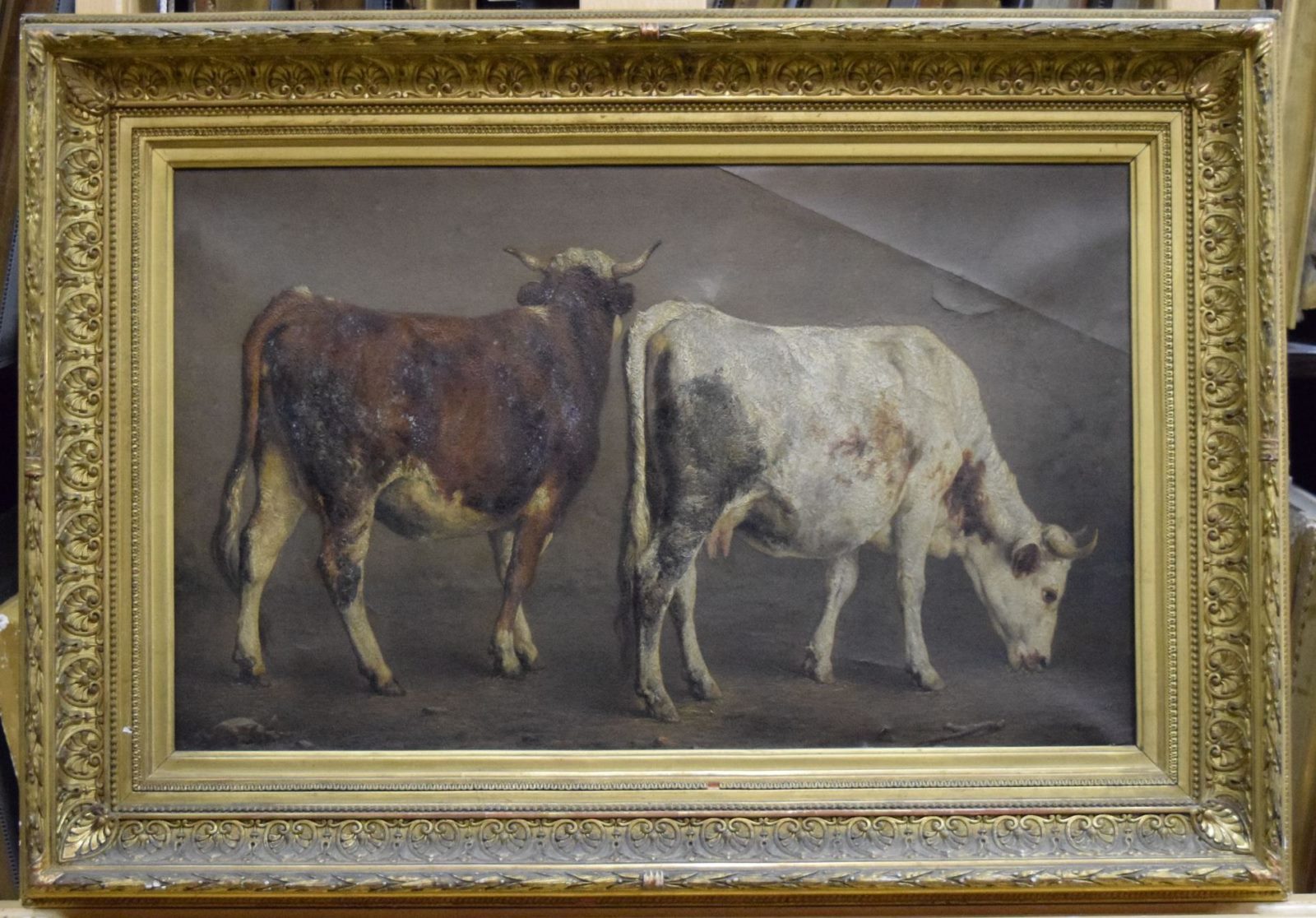 Boeuf à robe brune et vache à robe blanche, Jacques-Raymond Brascassat, 19e siècle
