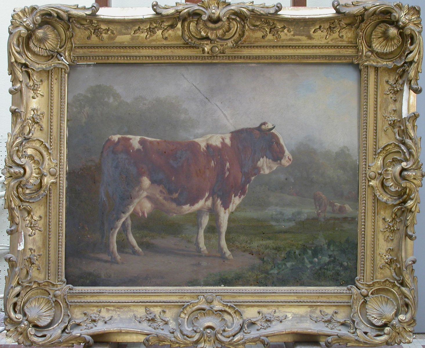 Vache à robe blanche et rousse, Jacques-Raymond Brascassat, 1853