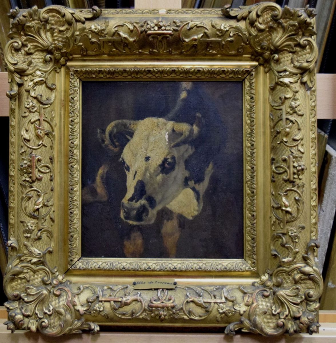 Tête de Vache normande vue de face (titre publié (Marionneau, 1872)) ; Tête de taureau (titre inscrit à l'inventaire), Jacques-Raymond Brascassat, 19e siècle