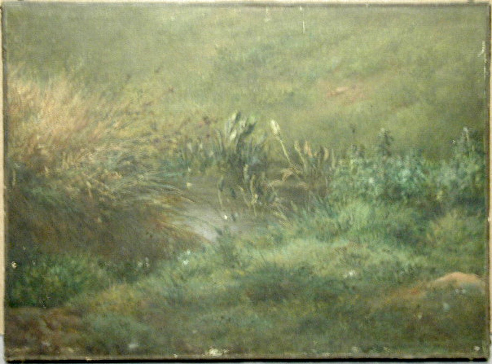 Talus tapissé de grandes plantes au bord d'un ruisseau, Jacques-Raymond Brascassat, 19e siècle