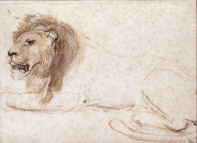 Lion couché — Rembrandt van Rijn