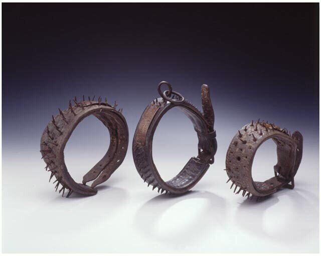 Collier de chien_0