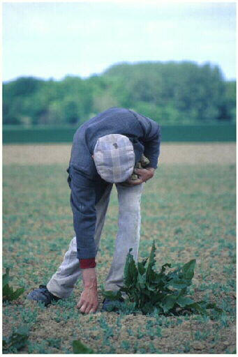 Tirage photographique_0