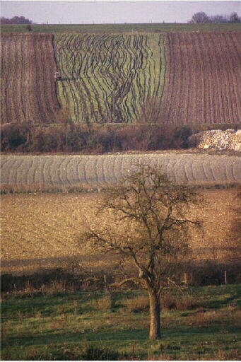 Tirage photographique_0