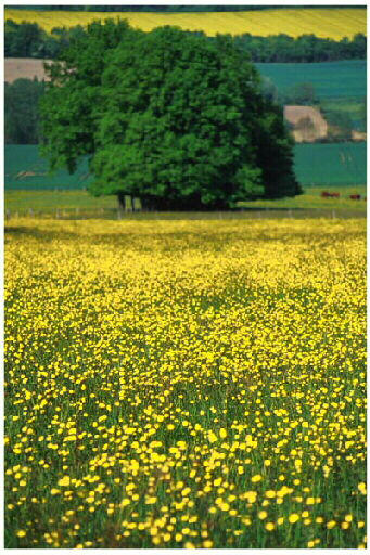 Tirage photographique_0