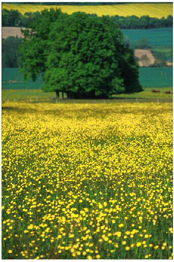 Tirage photographique_1
