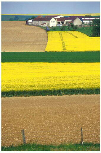 Tirage photographique_0