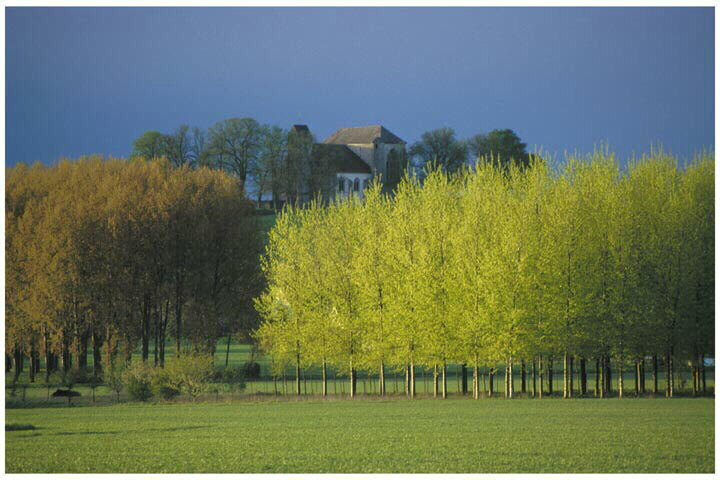 Tirage photographique_0