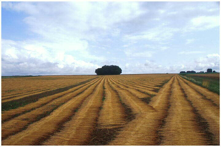 Tirage photographique_0