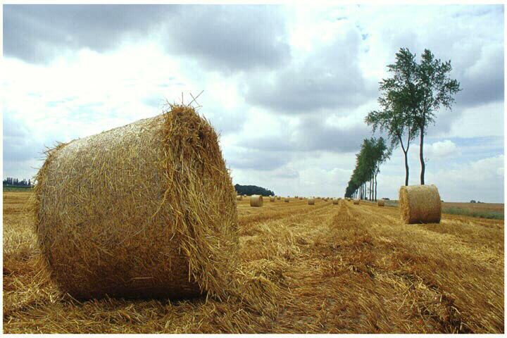 Tirage photographique_0