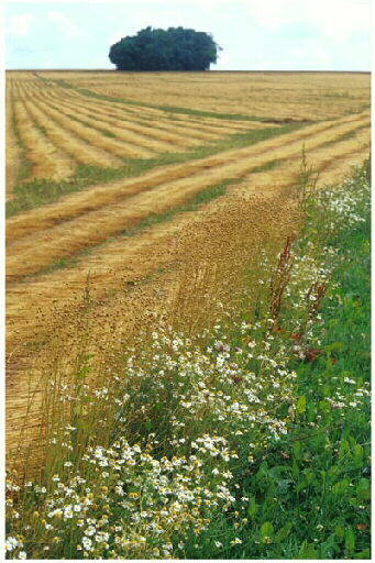 Tirage photographique_0