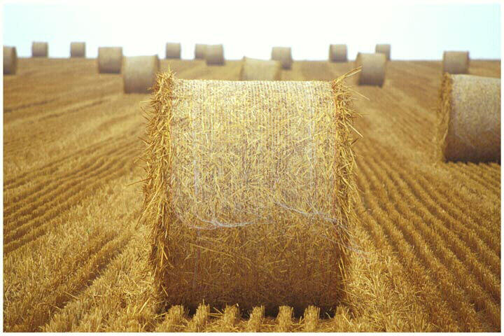 Tirage photographique_0