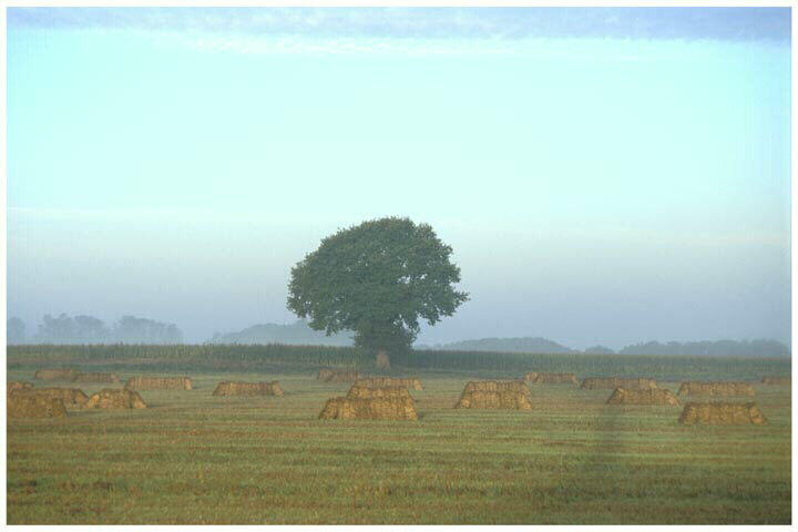 Tirage photographique_0