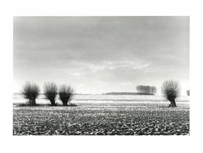 Saules et première neige sur le plateau de Brie, Christian Georgel, 2014