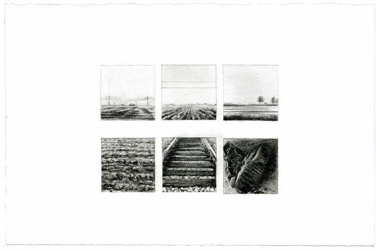 Terres brunes (Les), Sibylle Delacroix, 2015