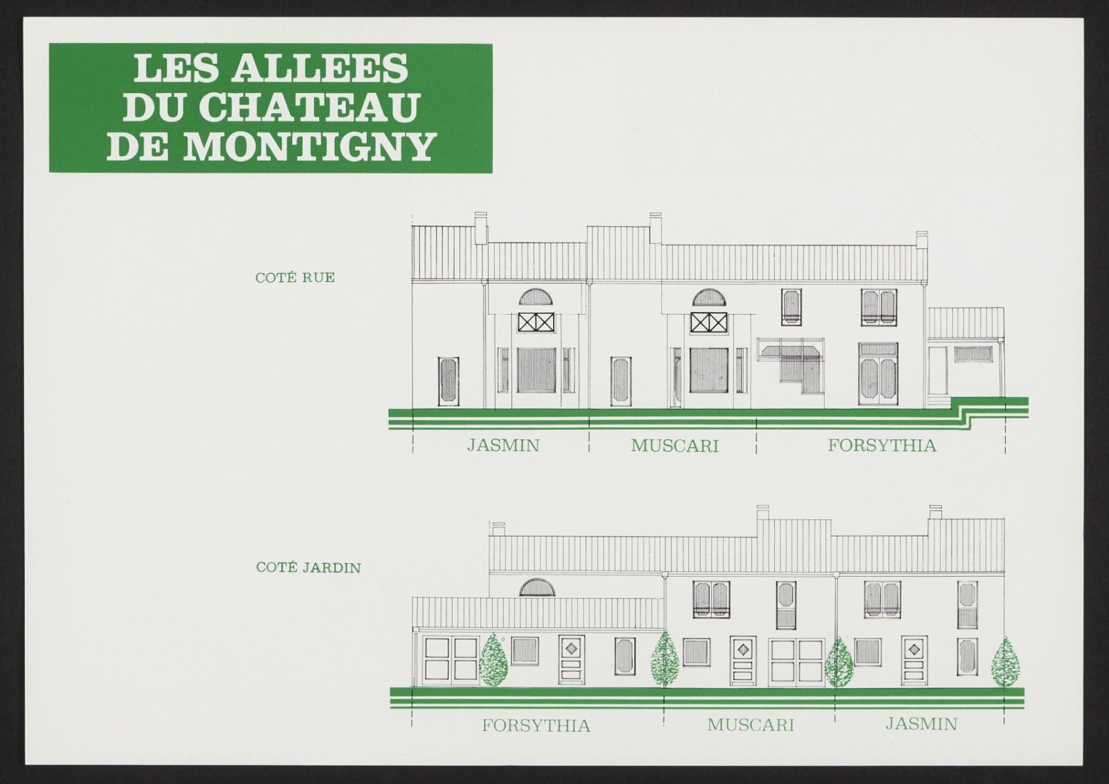 Les Allées du Château de Montigny (Montigny-le-Bretonneux 78)_9
