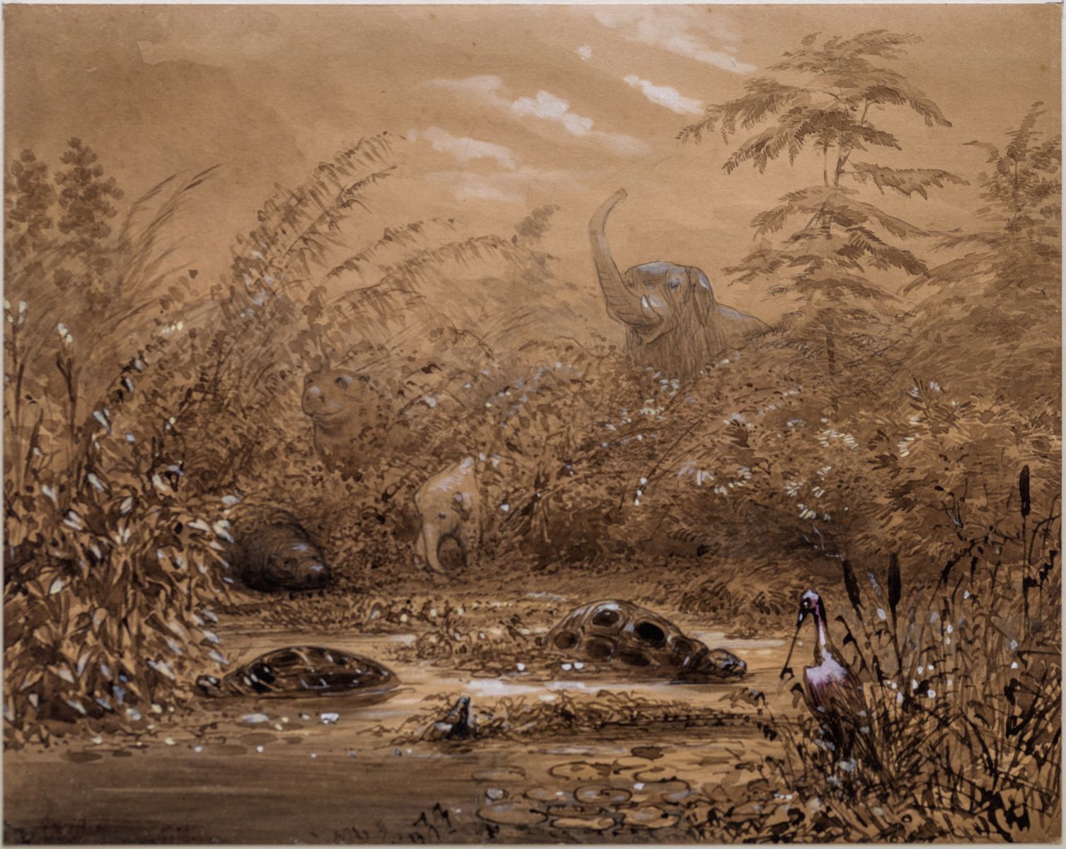 Savane avec animaux_0