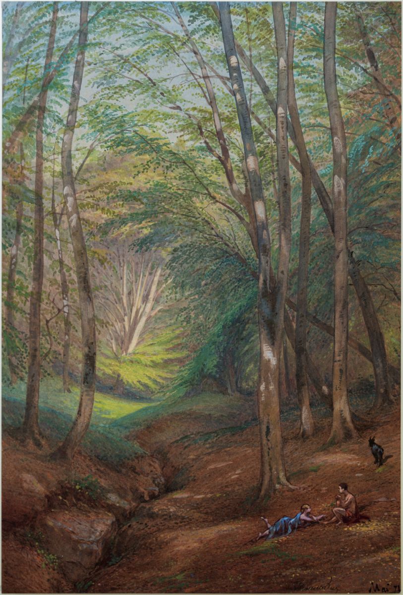 Sous-bois dans la forêt de Pierrefonds_0